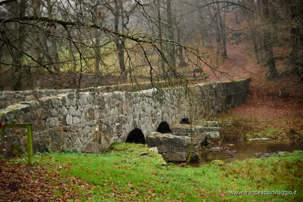 DSC_6249.JPG
