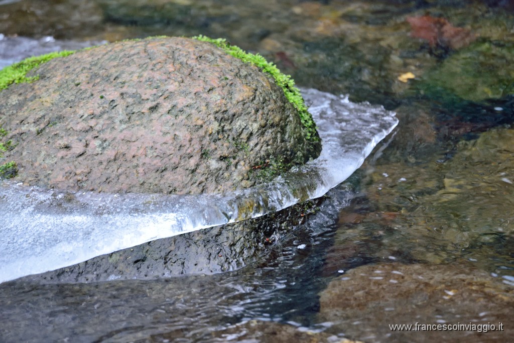DSC_6284.JPG