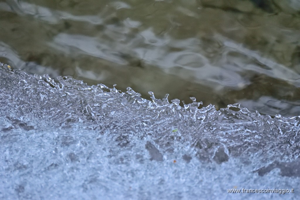 DSC_6299.JPG