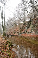 DSC_6171