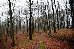 DSC_6205