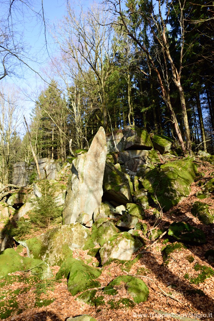 DSC_9405.JPG