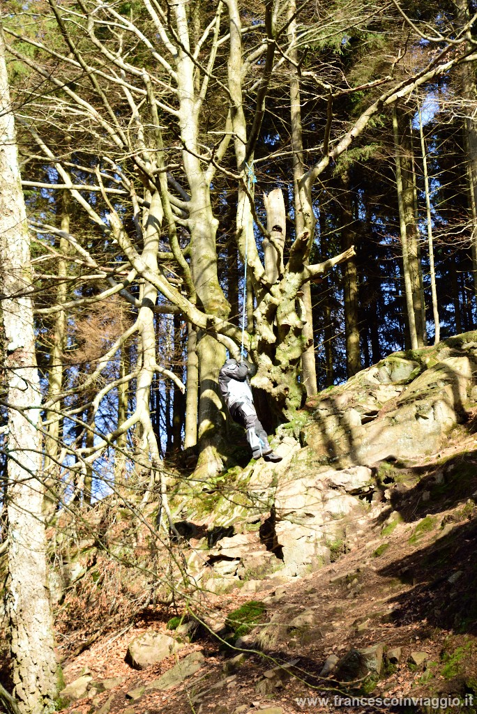 DSC_9461.JPG