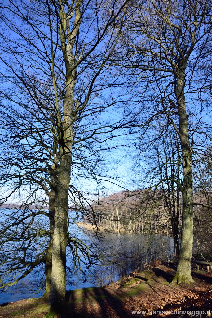 DSC_9632.JPG