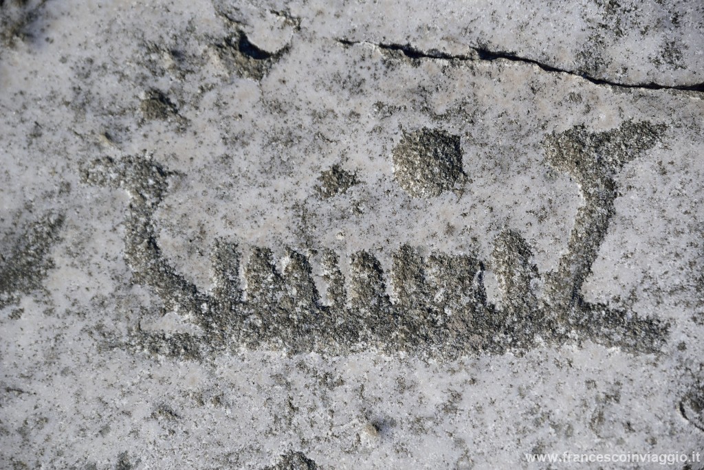 DSC_9725.JPG