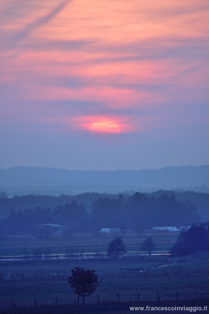 DSC_9815.JPG