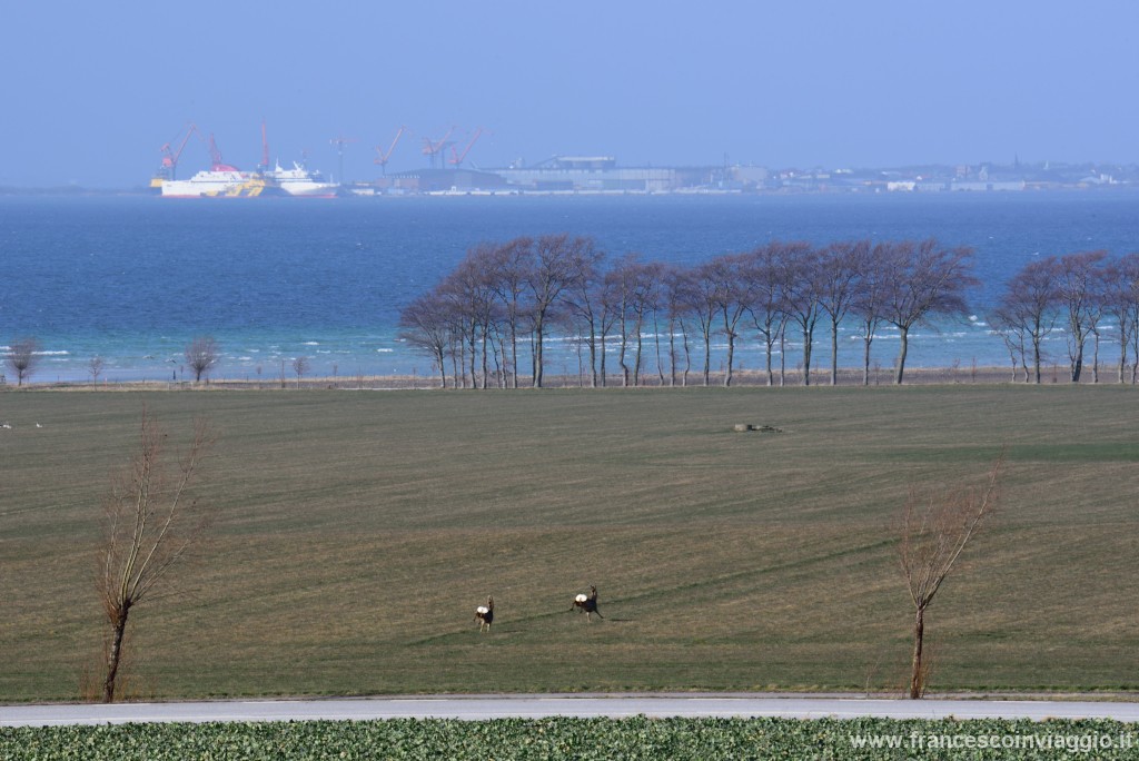 DSC_0002.JPG