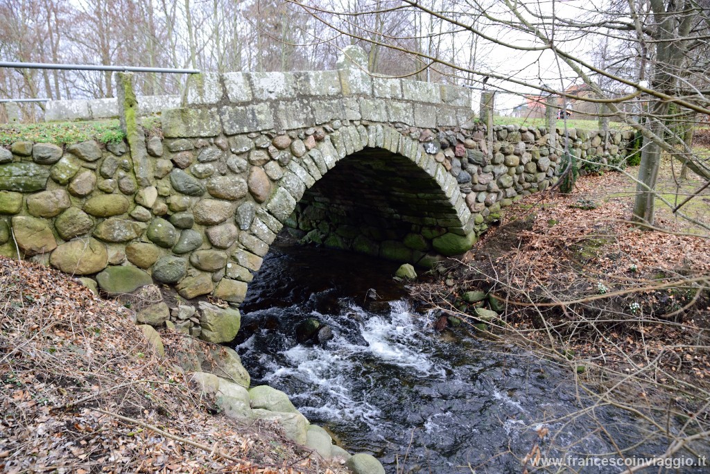 DSC_0074.JPG