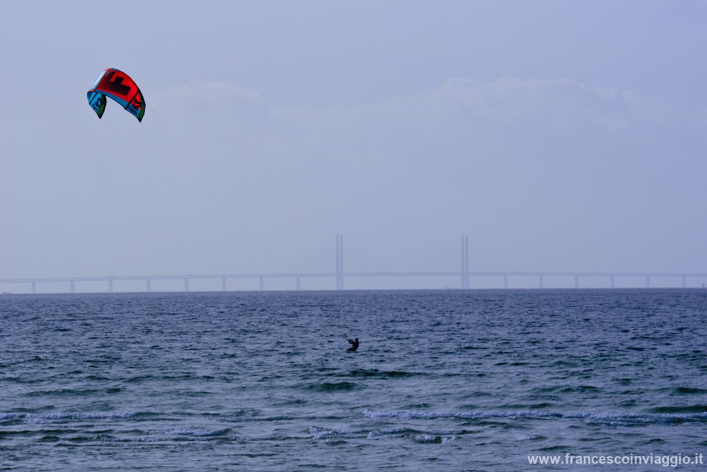 DSC_9914.JPG