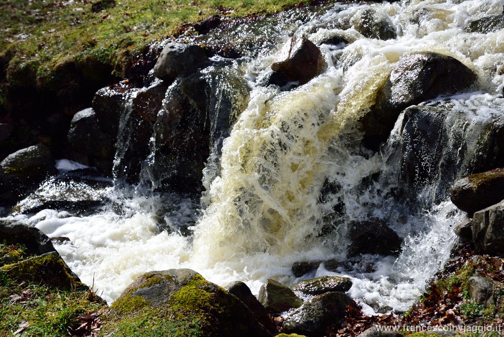 DSC_0257.JPG