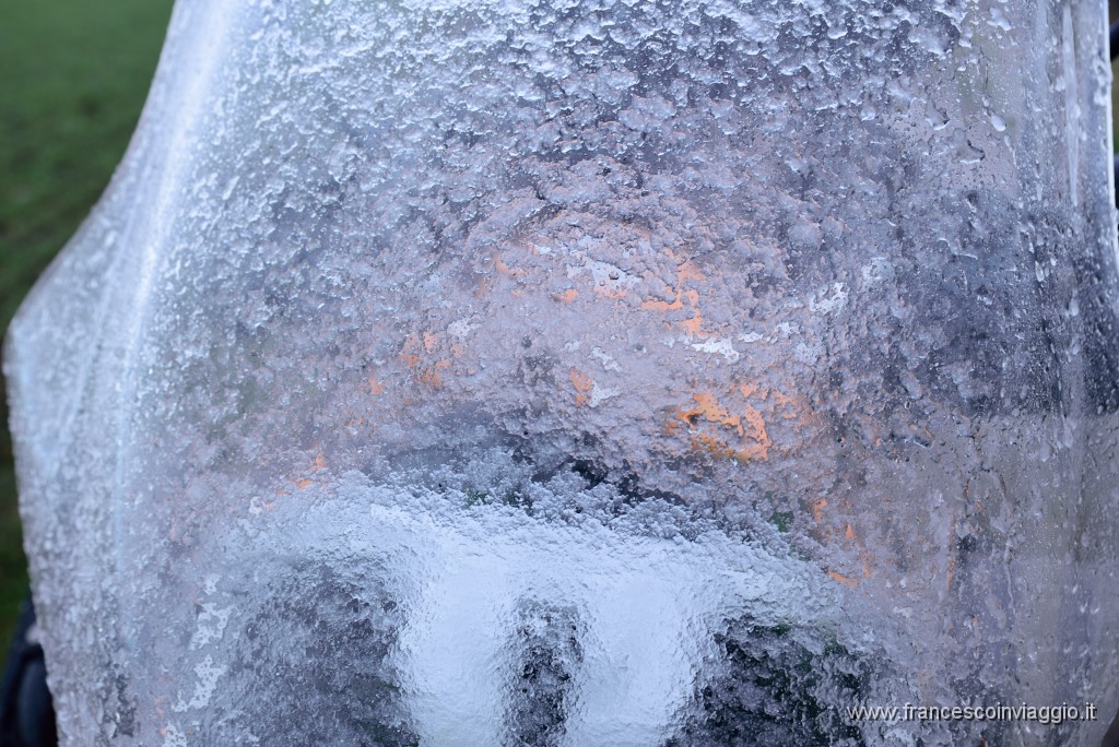 DSC_0450.JPG