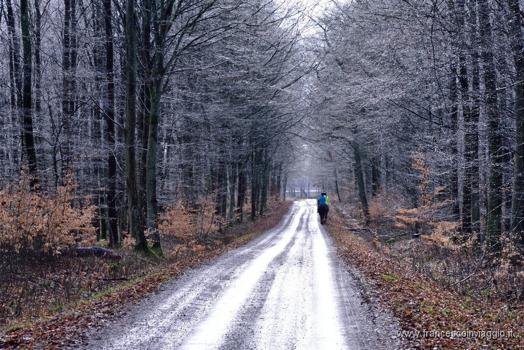 DSC_0488.JPG