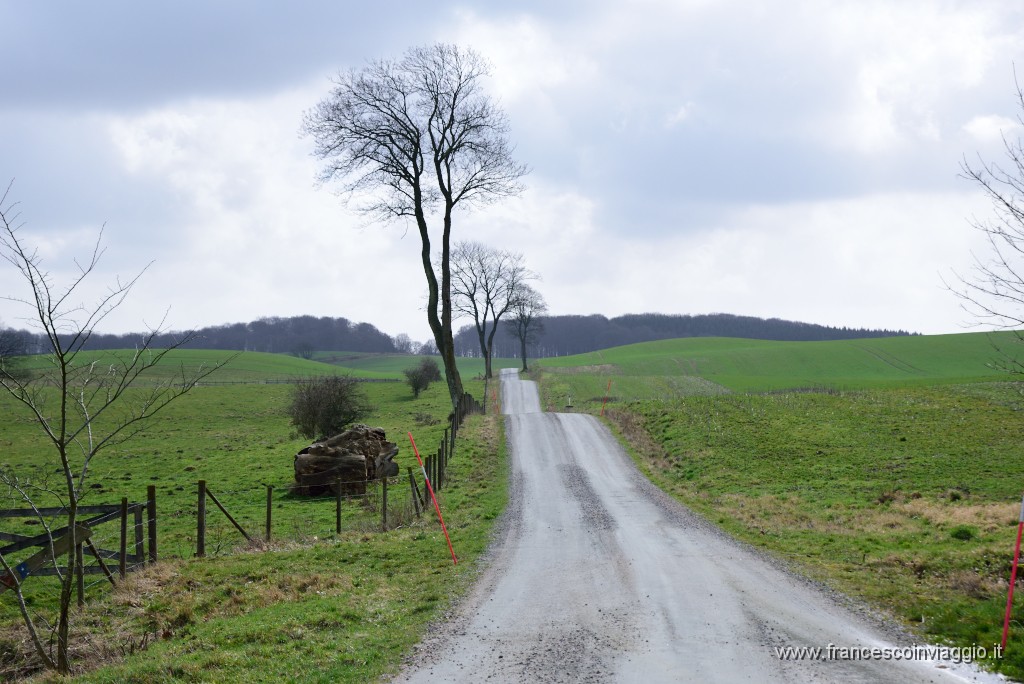 DSC_0502.JPG