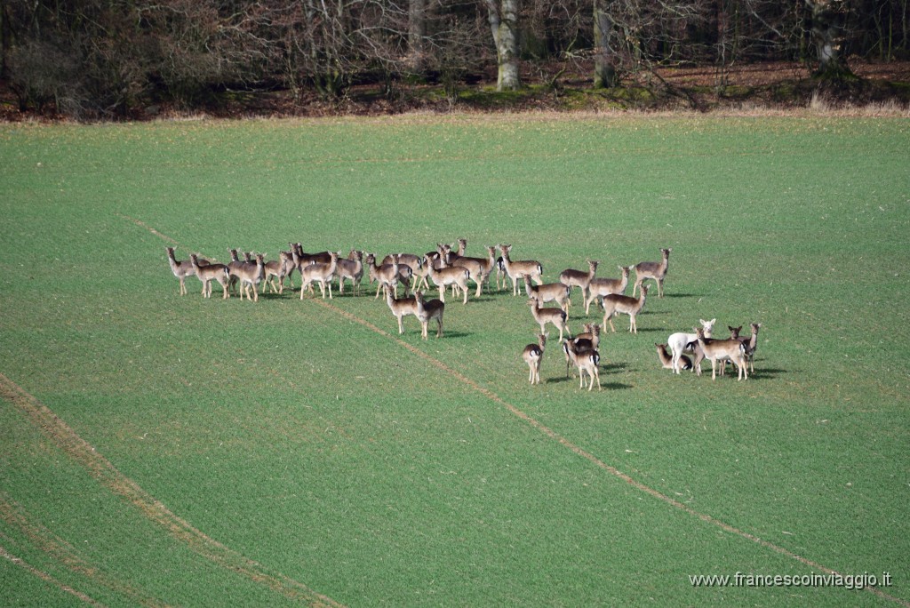 DSC_0513.JPG