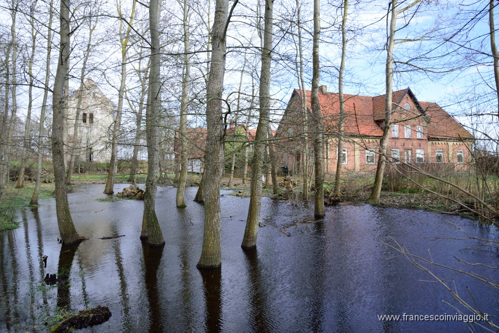 DSC_0626.JPG