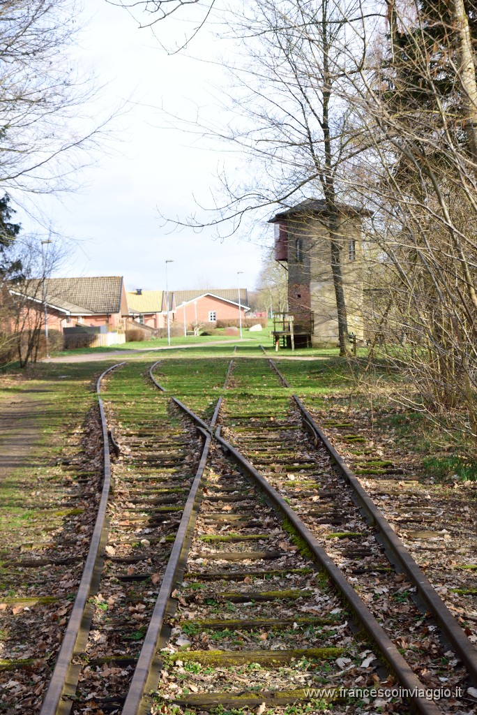 DSC_0675.JPG