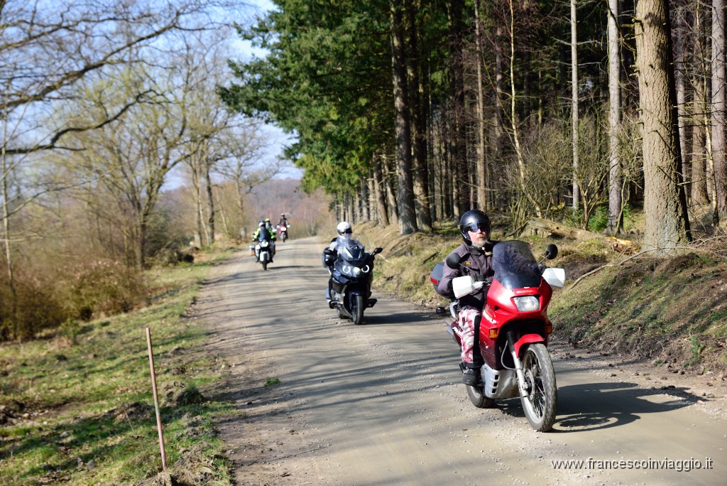 DSC_0916.JPG