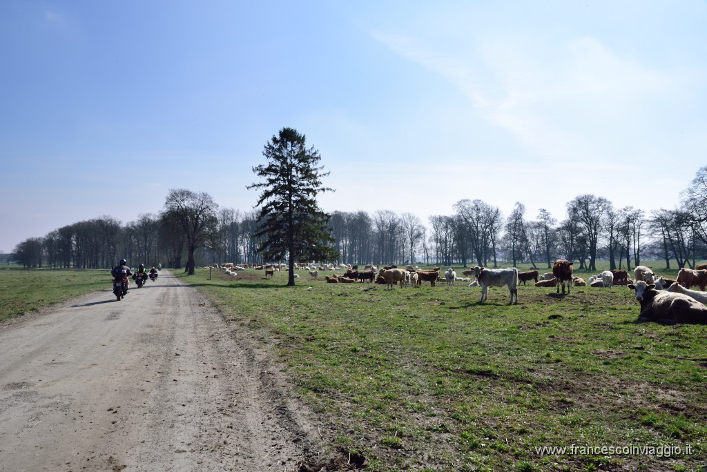 DSC_0955.JPG