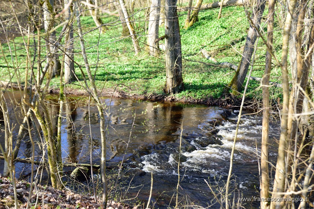 DSC_1074.JPG