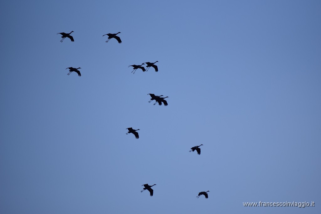 DSC_1448.JPG