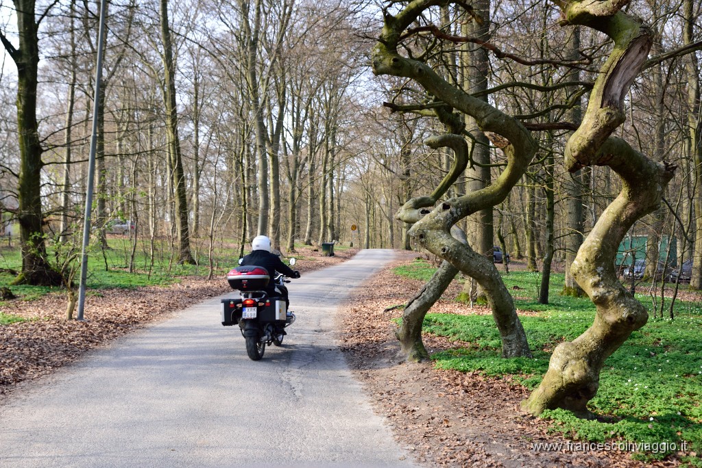 DSC_1930.JPG