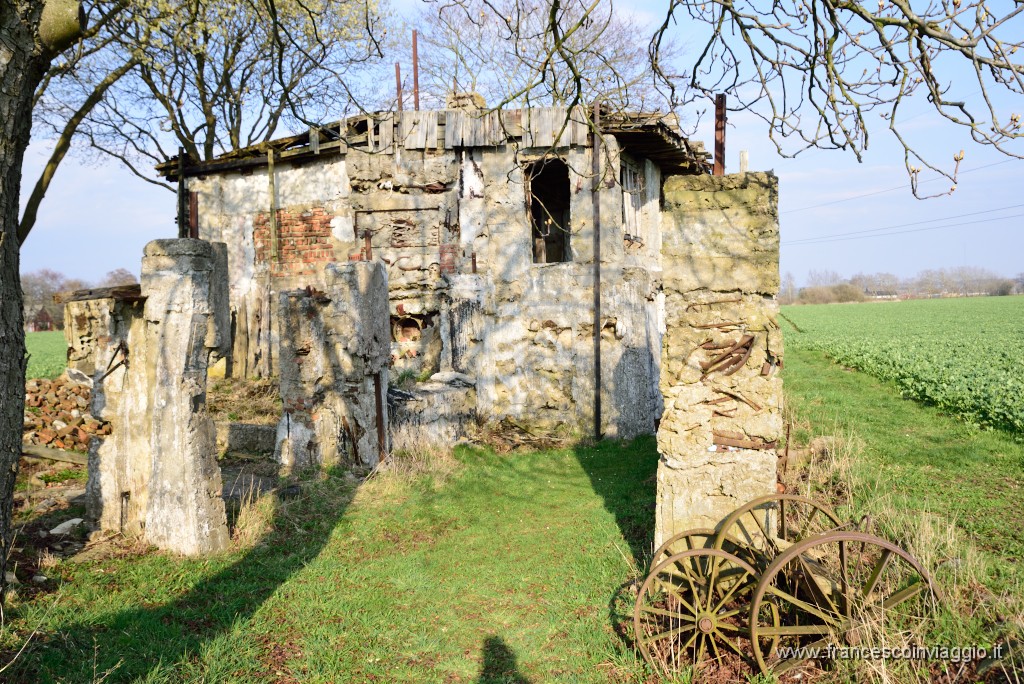 DSC_1985.JPG