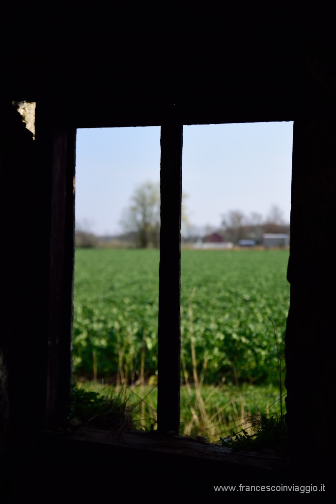 DSC_1993.JPG