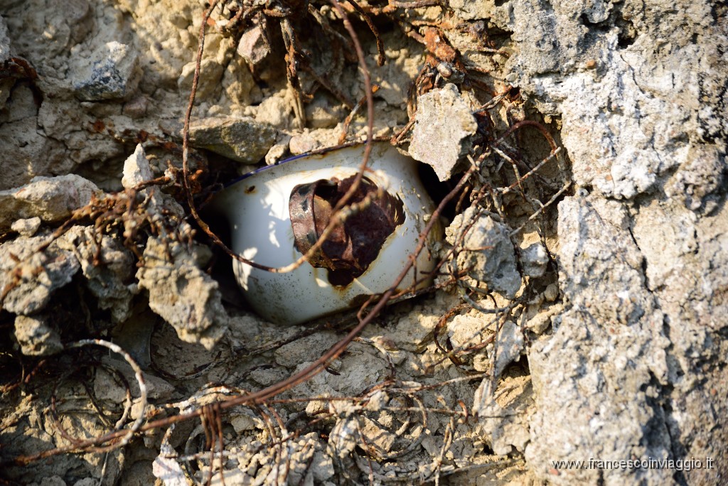 DSC_1996.JPG