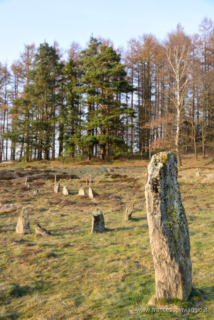 DSC_2103.JPG