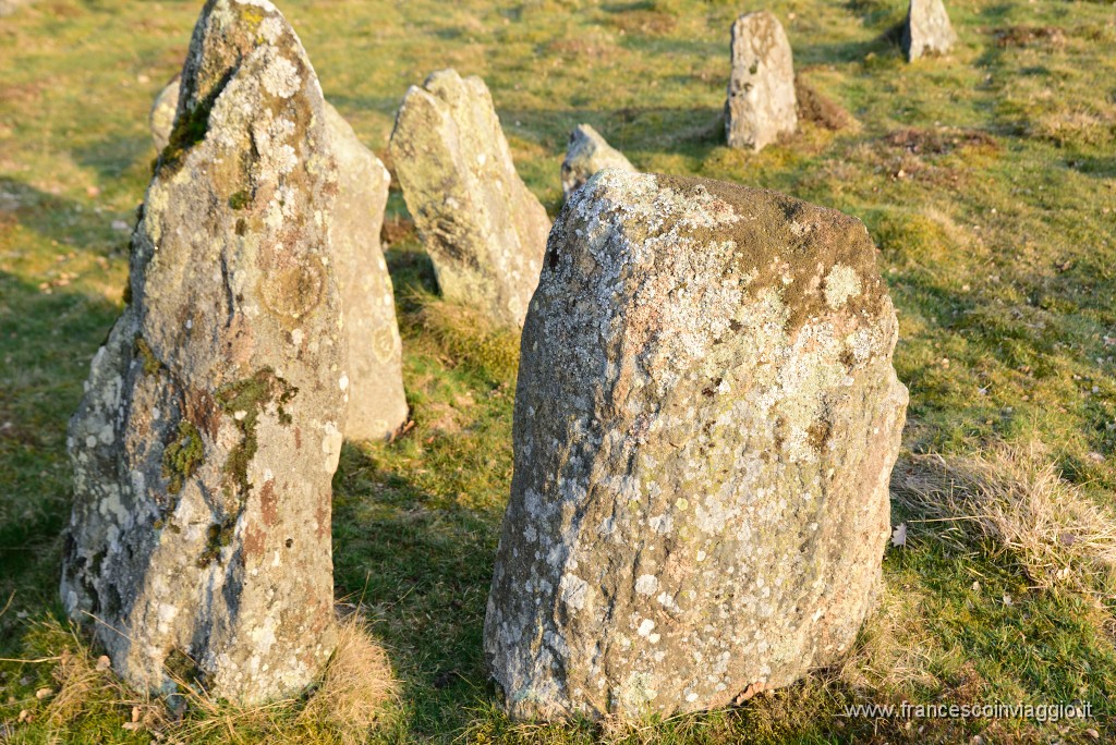 DSC_2111.JPG