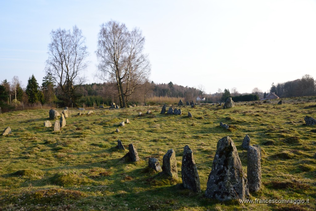 DSC_2114.JPG