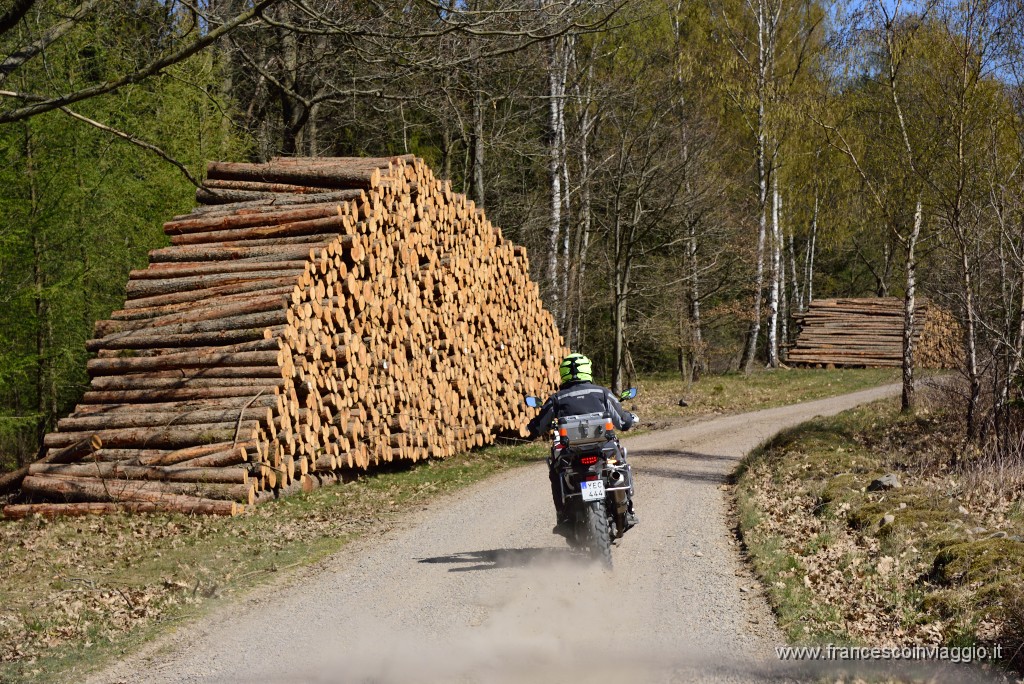 DSC_3448.JPG