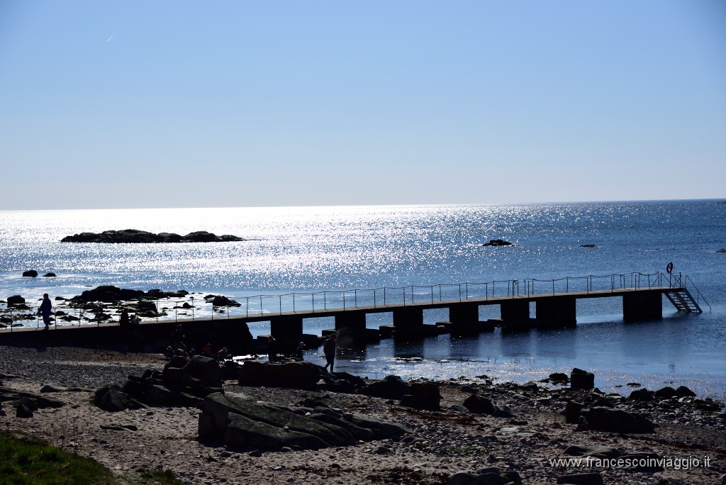 DSC_3694.JPG