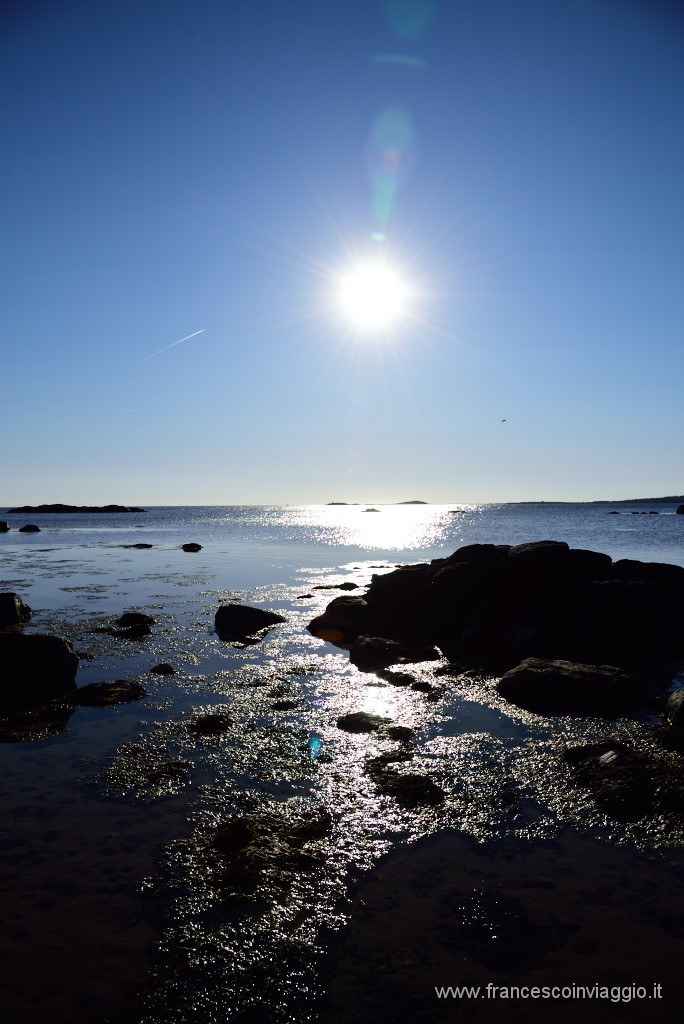 DSC_3776.JPG