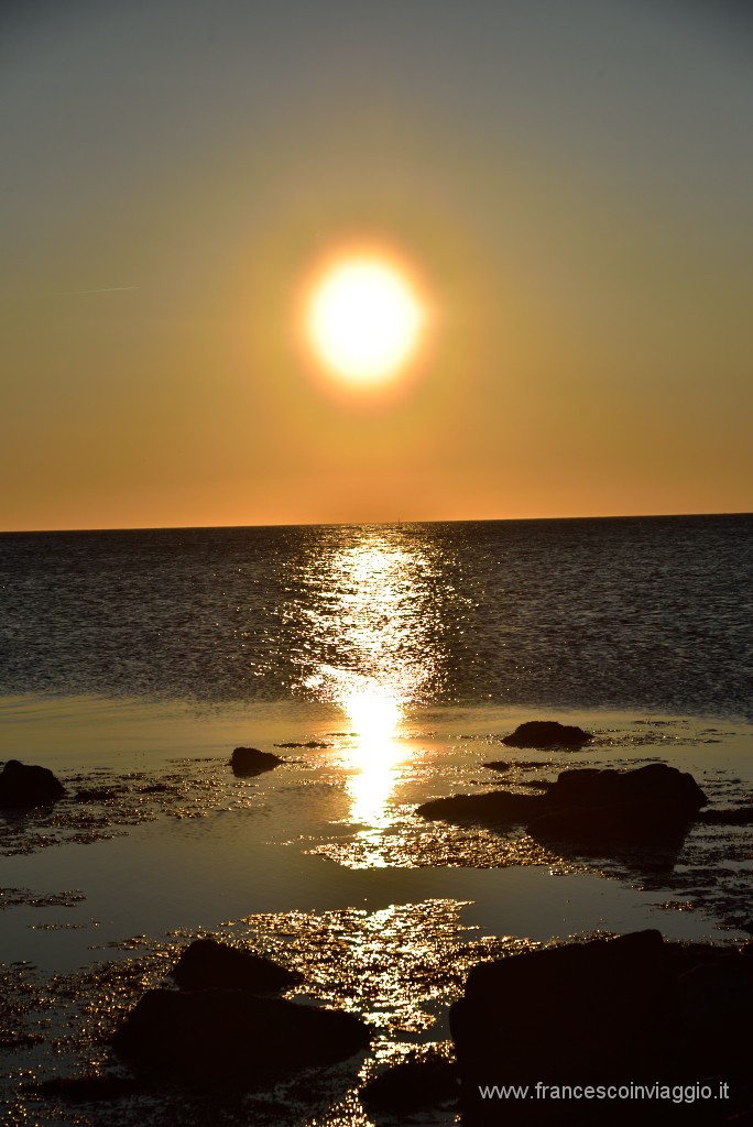 DSC_3813.JPG