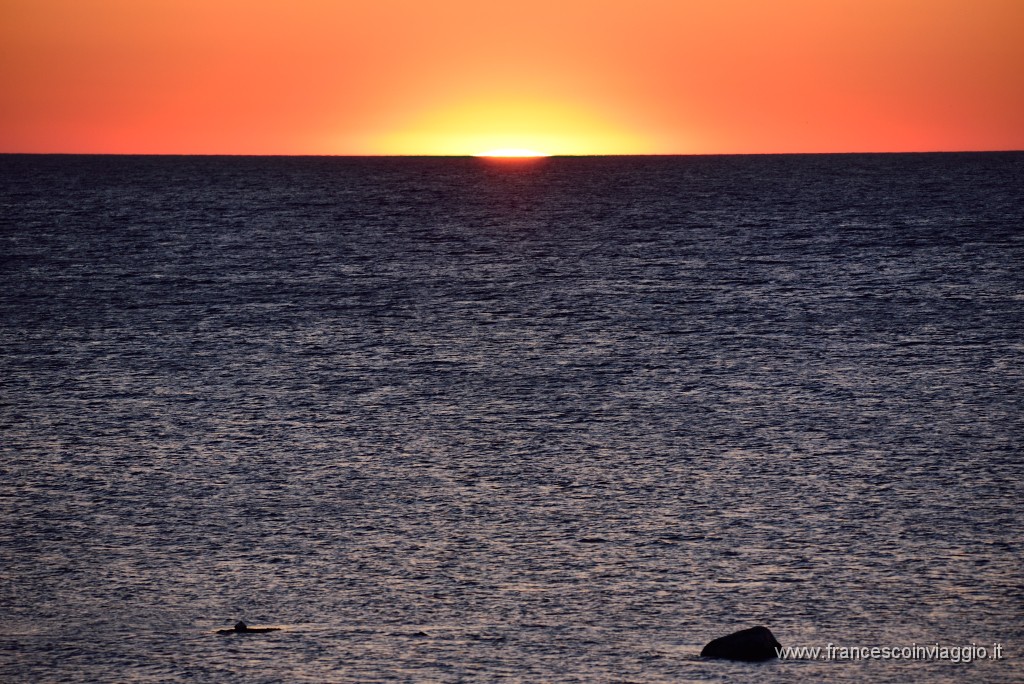 DSC_3903.JPG