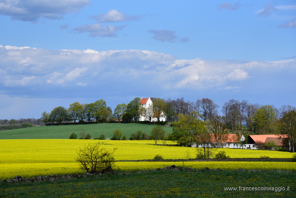 DSC_4387.JPG