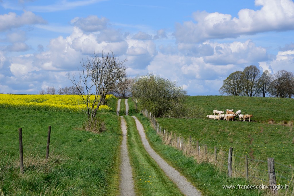 DSC_4475.JPG