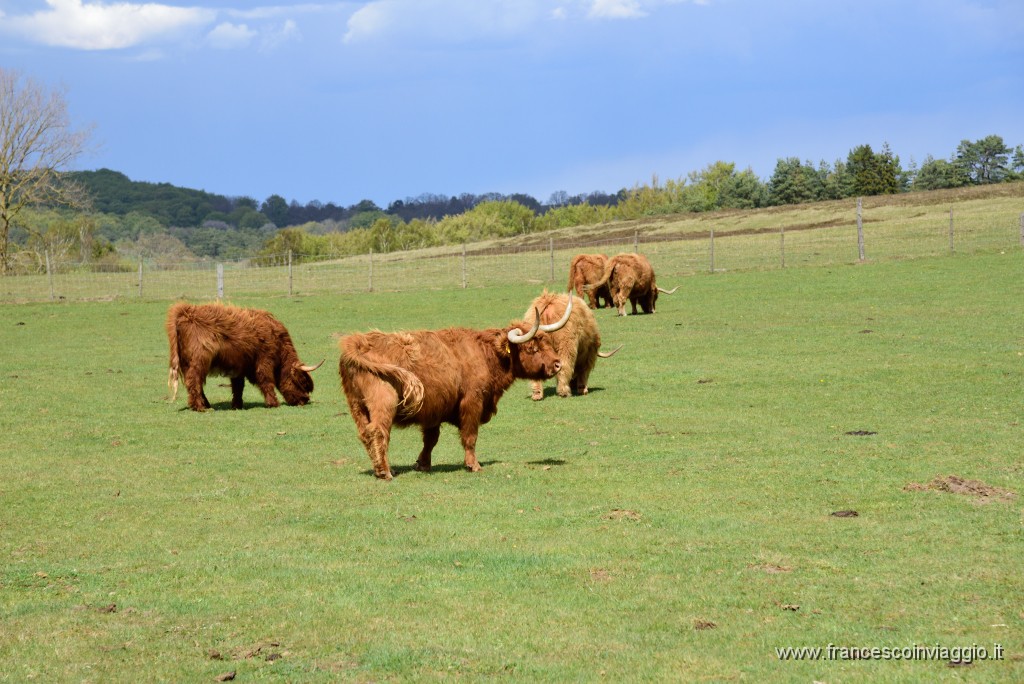DSC_4498.JPG