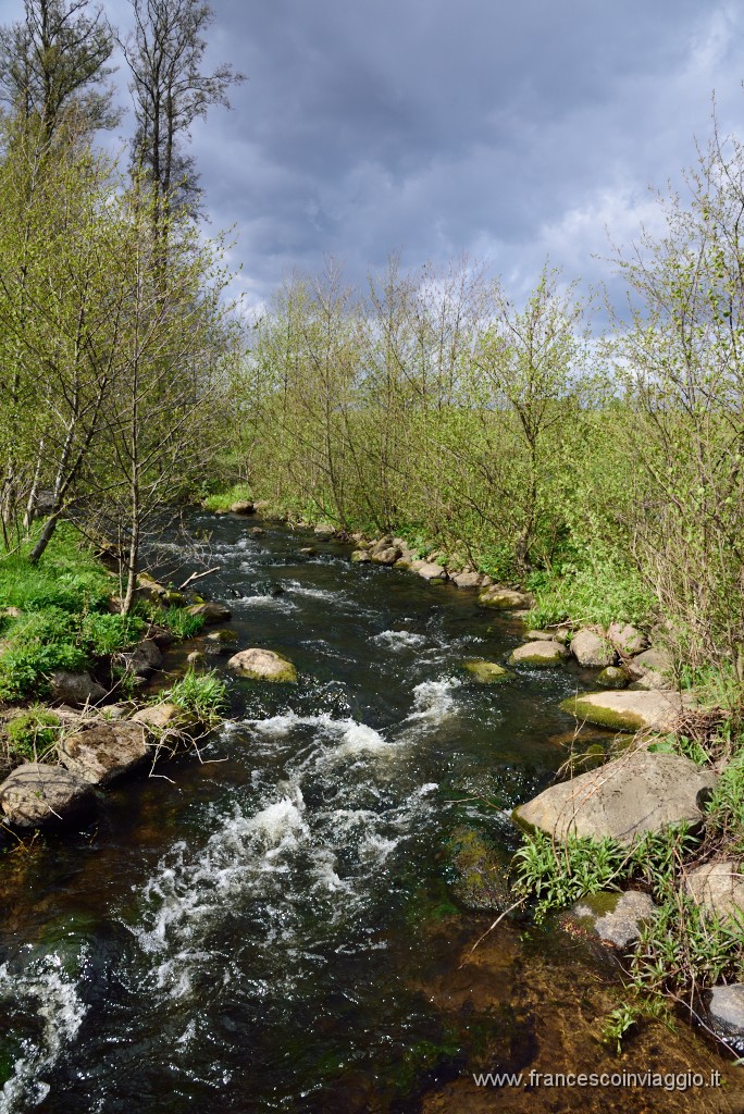 DSC_4546.JPG