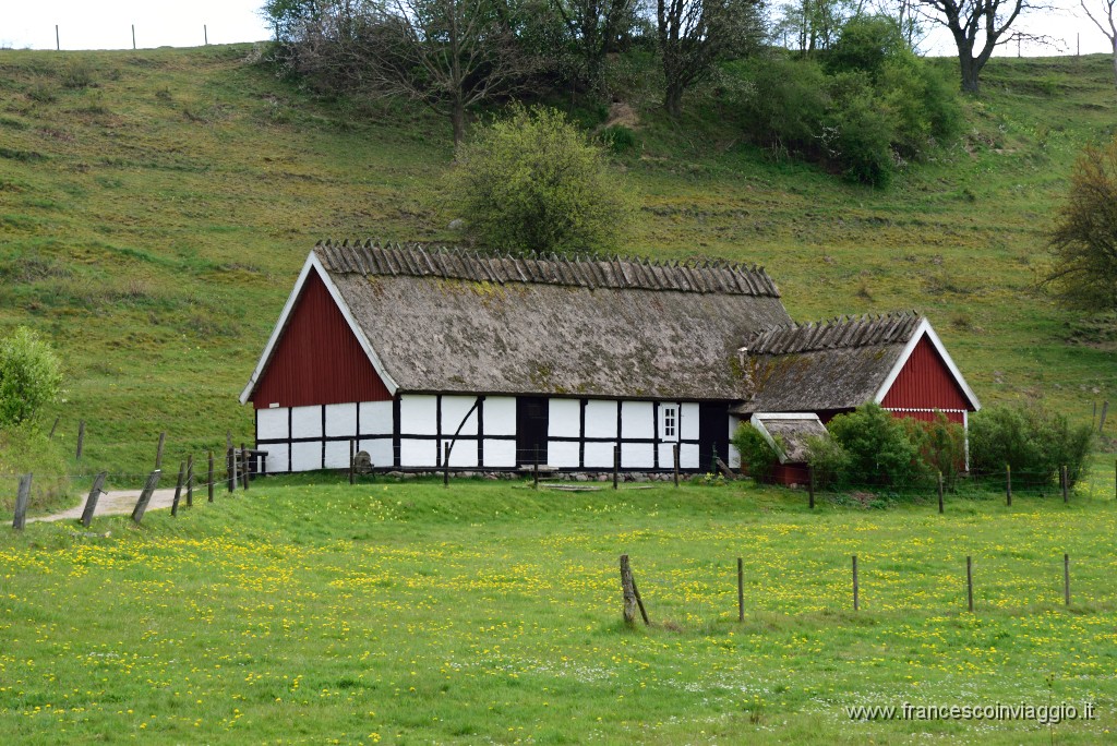 DSC_4586.JPG