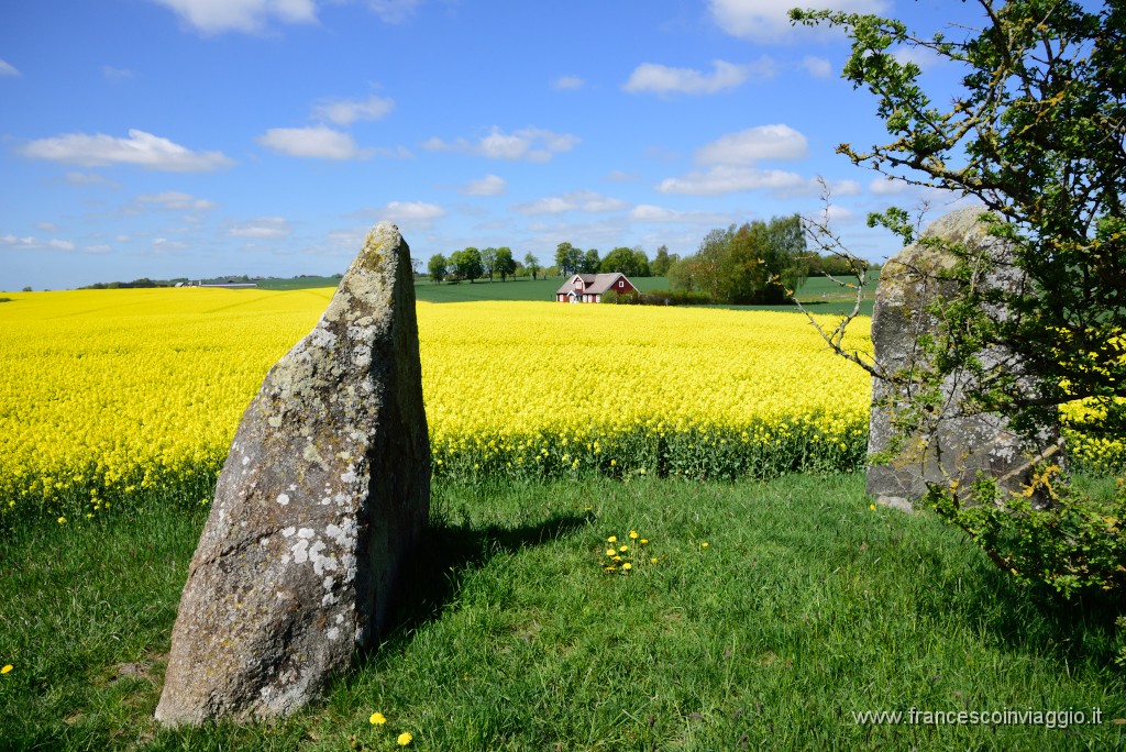 DSC_4678.JPG
