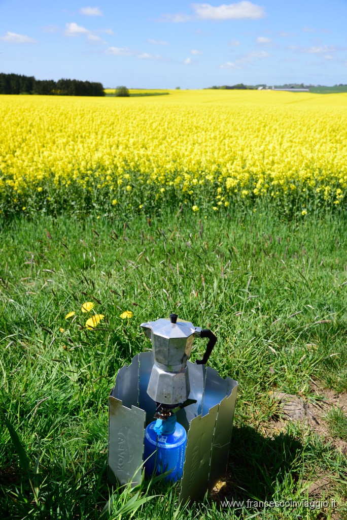 DSC_4691.JPG