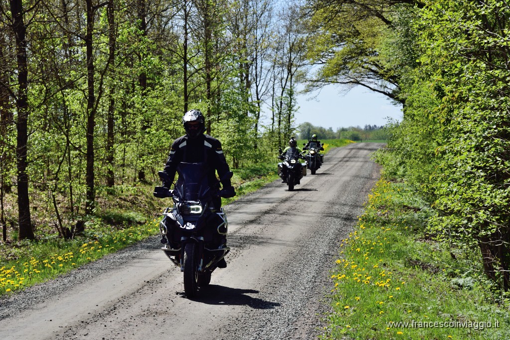 DSC_4736.JPG