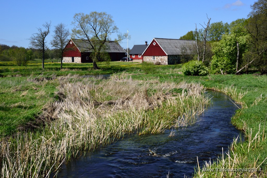 DSC_4866.JPG