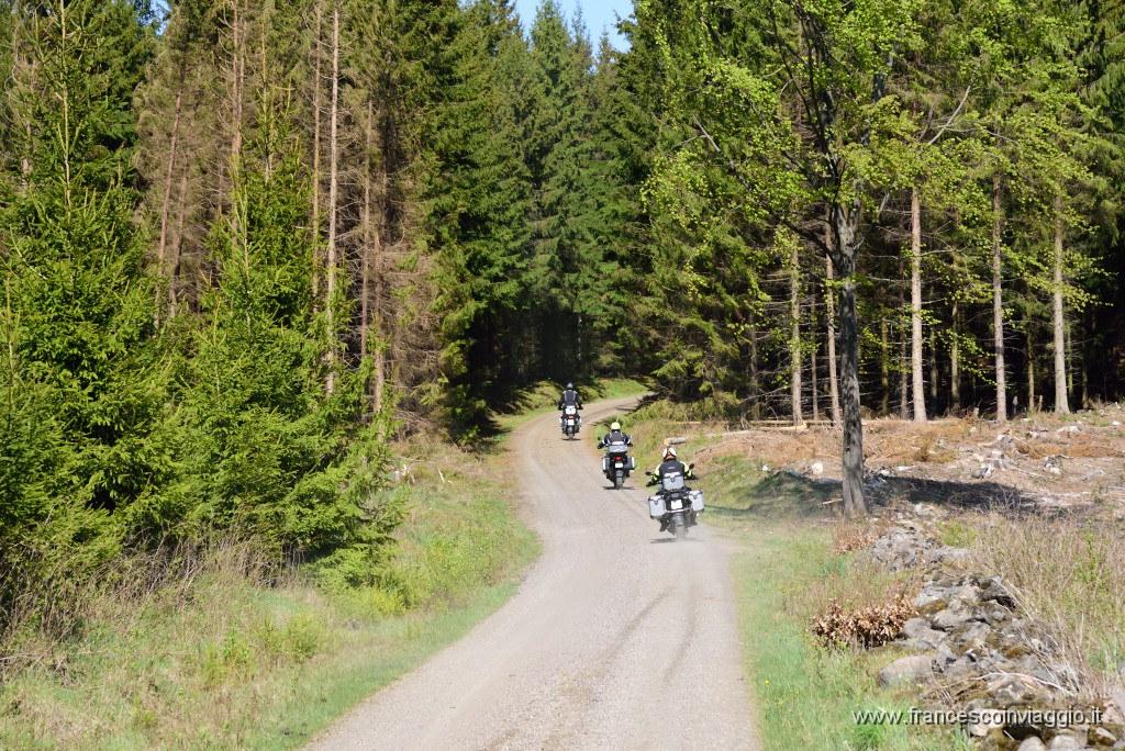 DSC_4881.JPG