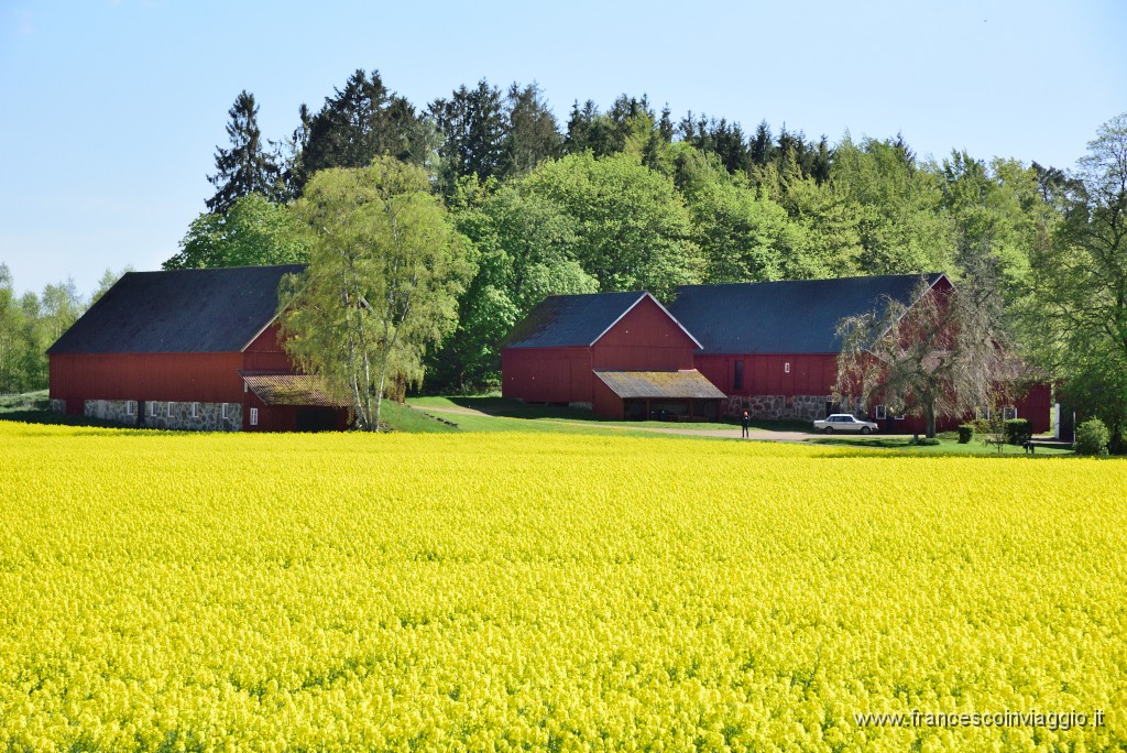 DSC_4933.JPG