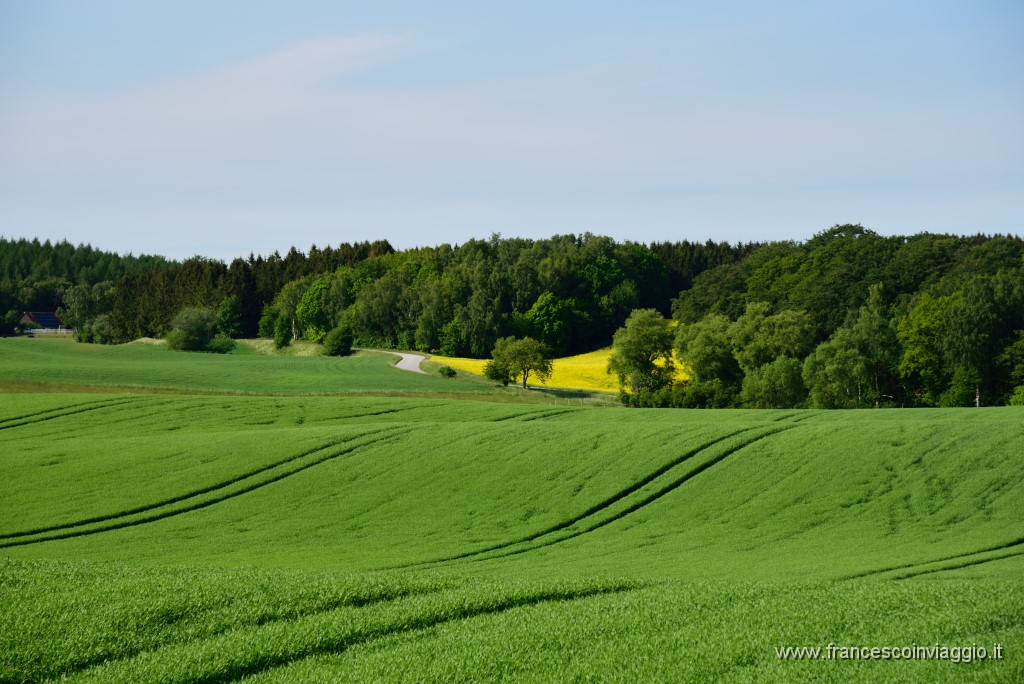 DSC_6410.JPG