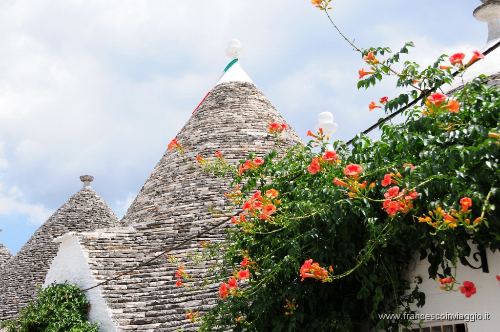 Alberobello20DSC_2442.JPG