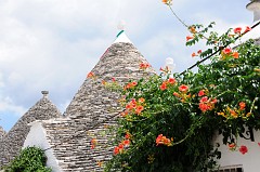 Alberobello20DSC_2442